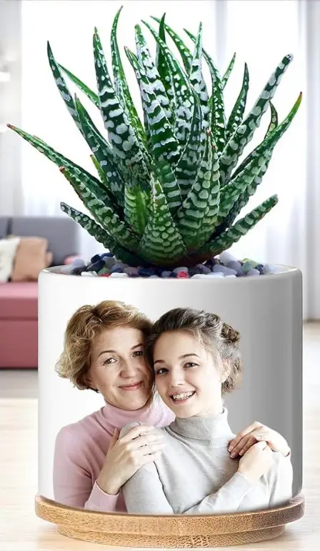 Mini Flower Pot/Planter